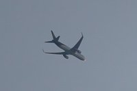 N352UP
